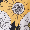 Navy swatch