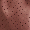 Blossom Swatch