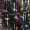Forever Evergreen Swatch