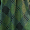 Pine Plaid Swatch