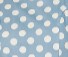 Blue Polka Dot Swatch