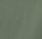 Olive Swatch