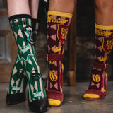 Harry Potter Hogwarts Houses Sheer Socks Bundle