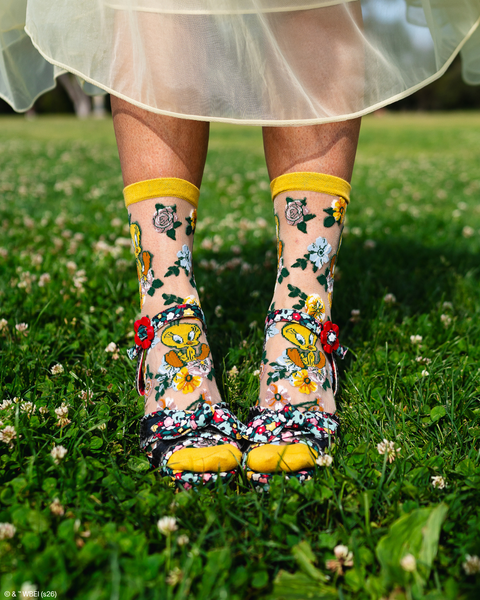 Looney Tunes Sheer Socks Bundle