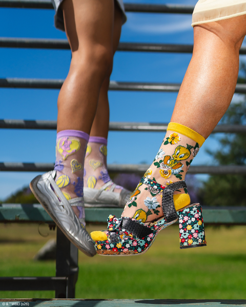 Looney Tunes Sheer Socks Bundle