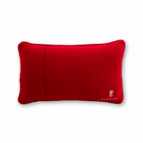 Needlepoint Pillow - All Spruced Up