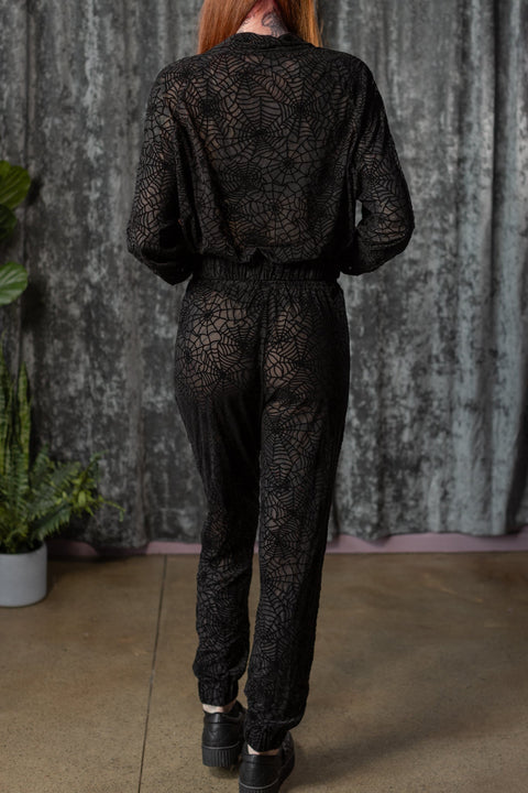 The Sinful Set - WEBS - Sheer Velvet Flocked Track Jacket & Jogger Separates