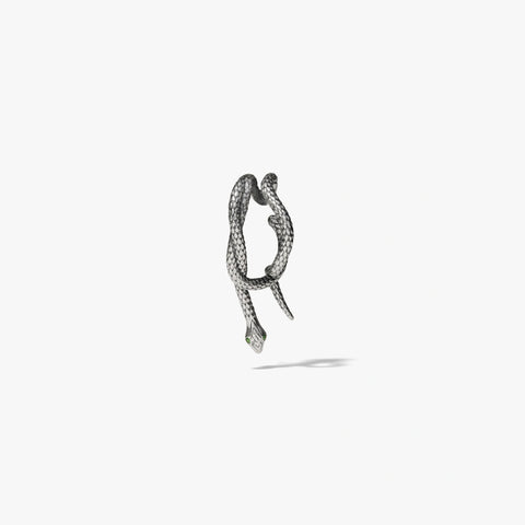 Snake Wrap Earring