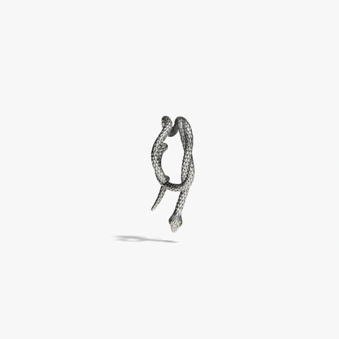 Snake Wrap Earring