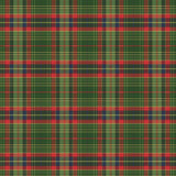 Green Plaid Greta Dress