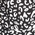 Leopard Swatch