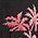 BLACK Swatch