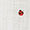 LADY BUGS AND ROSEBUDS IVORY Swatch