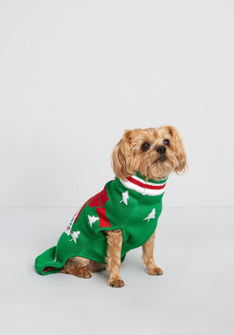 The Best Present Pet Sweater
