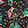 Black Cats Swatch
