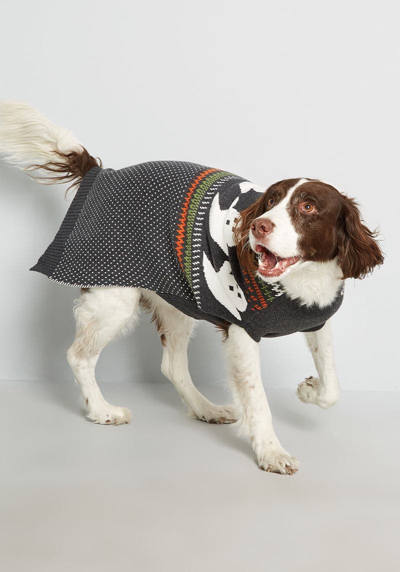 PET-WOLF-CMF: Dog sweater with camouflage pattern